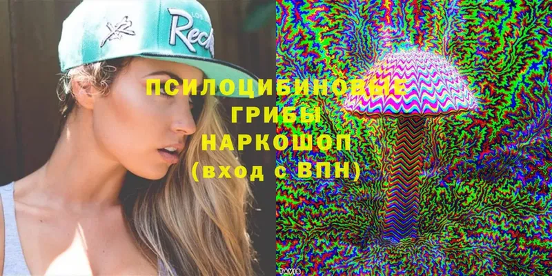 Псилоцибиновые грибы Cubensis  Нюрба 